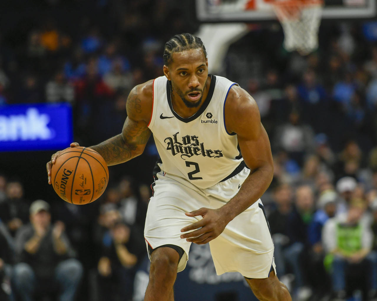 在世界杯入 在世界杯入